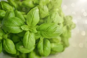 How To Preserve Basil