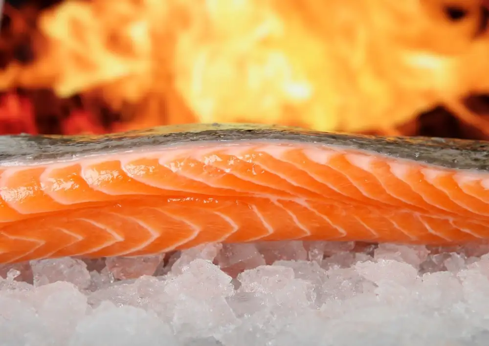 Baking Frozen Salmon